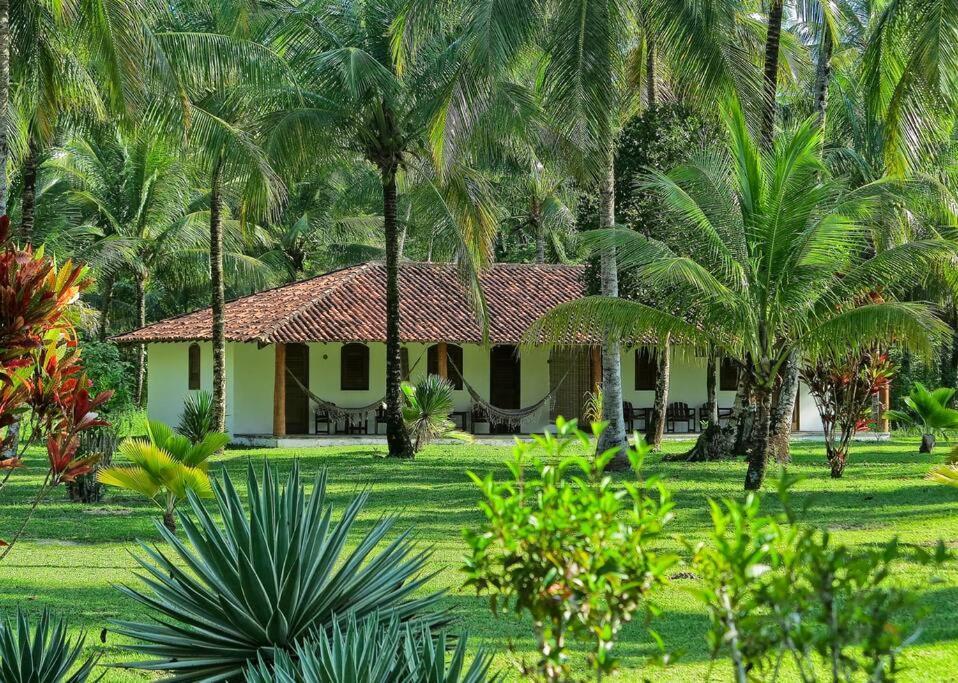 Casinha Jardim Das Palmeiras Morro de São Paulo Exterior foto
